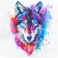 Animal Integration-DW 861